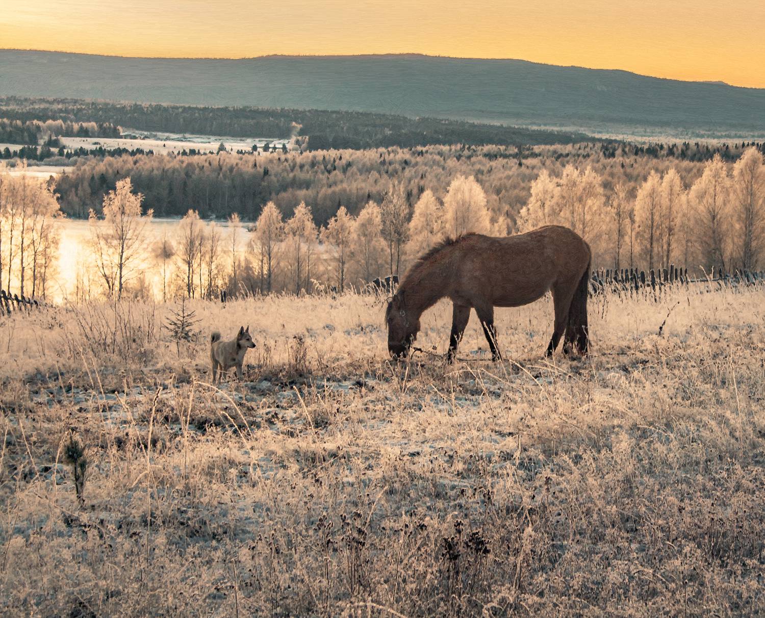 , Александр  Швачко