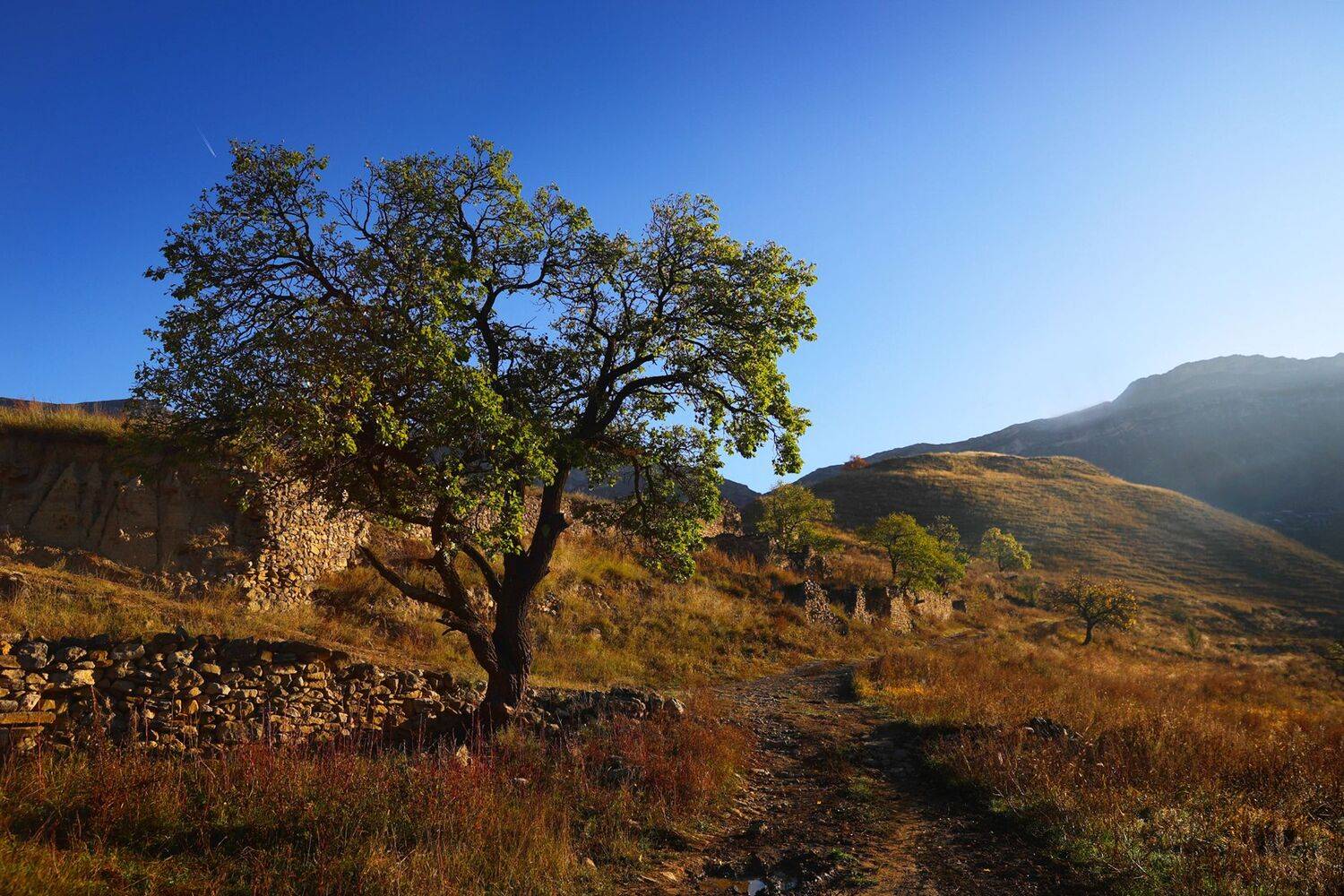 горы,осень,пейзаж,дагестан,, Magov Marat