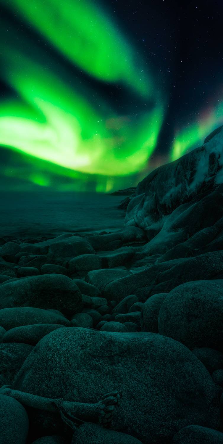 , Алексей Котлов