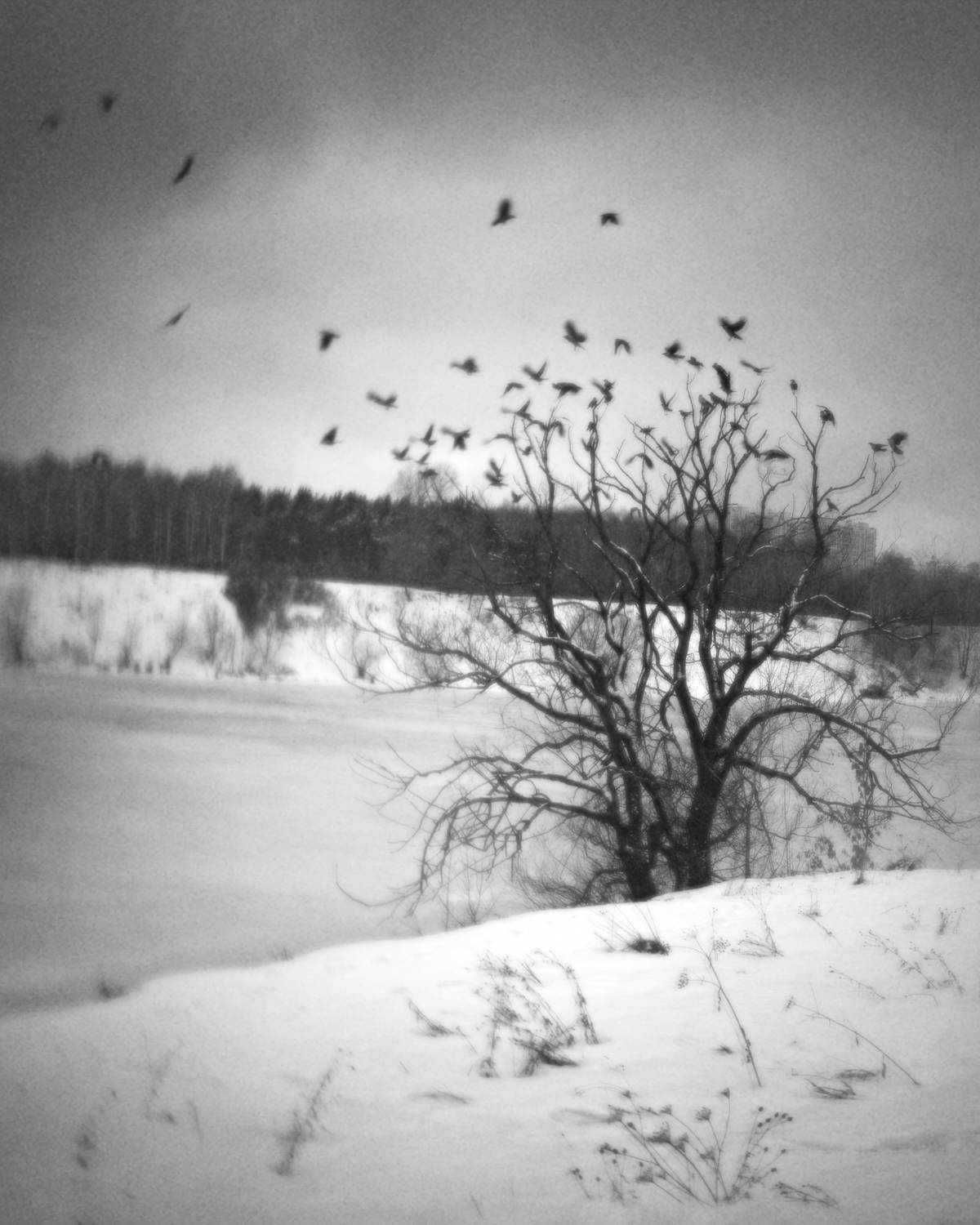 , Сергей Кот