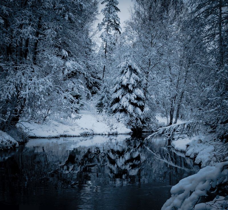 зима, лес, река, winter, forest, river Линдуловская роща фото превью