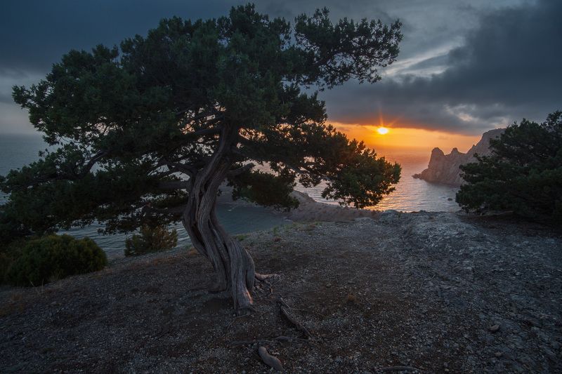 Закатная... фото превью