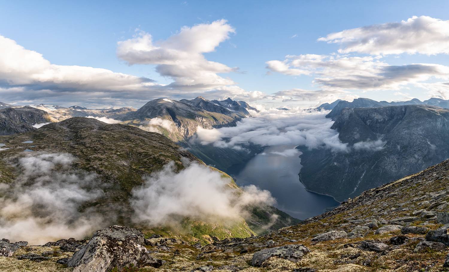 , Лариса Дука