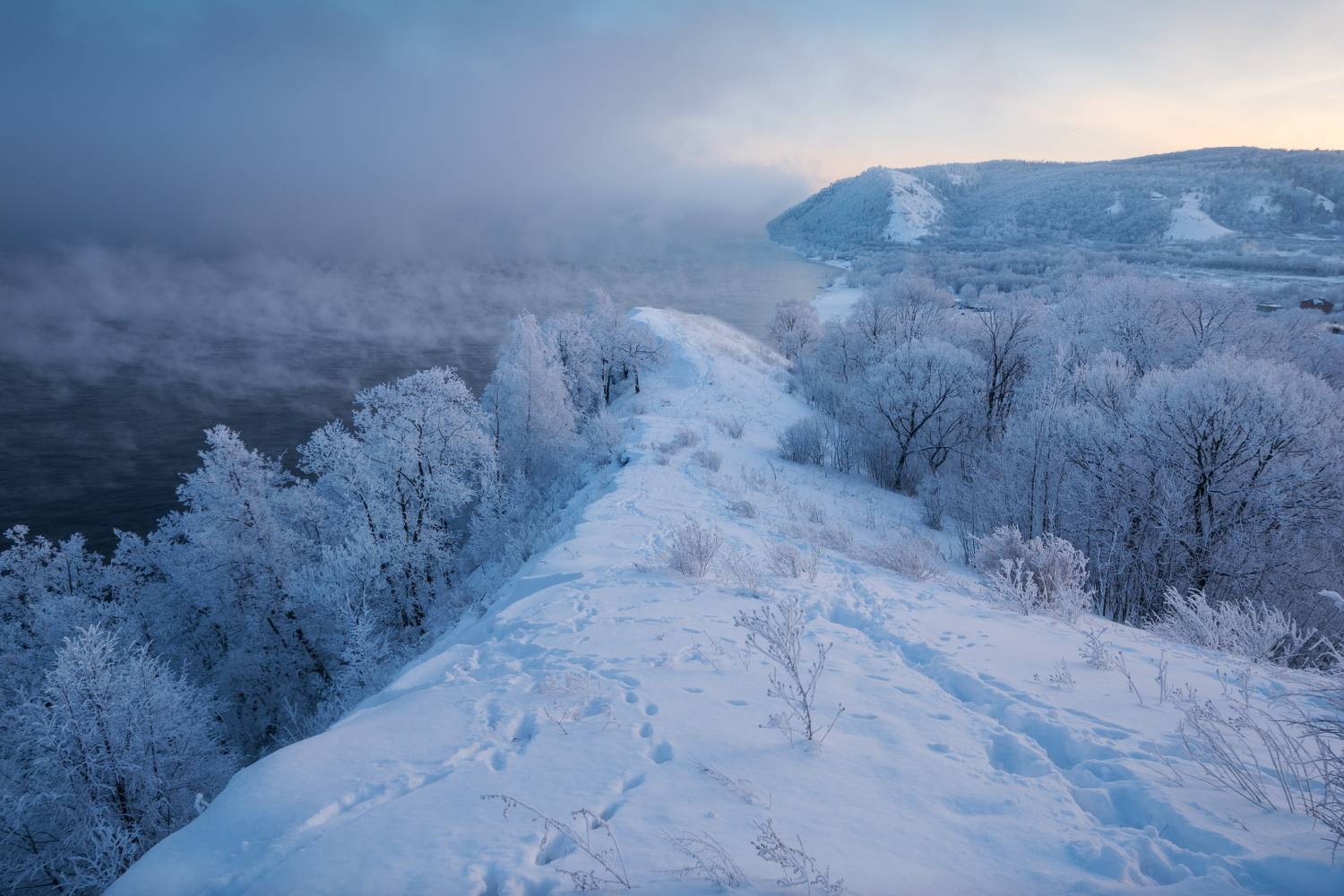 , Алексей Проняхин