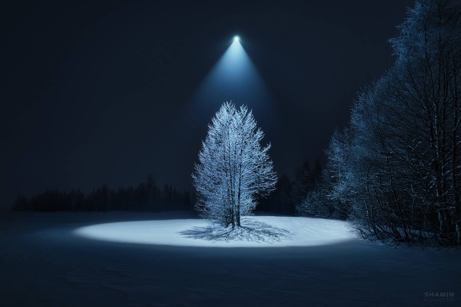 , Константин Шамин