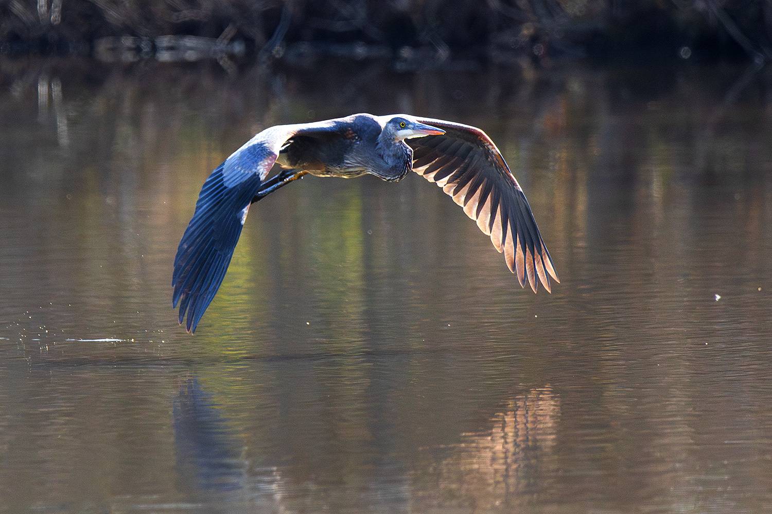 , Леонид Дьяченко
