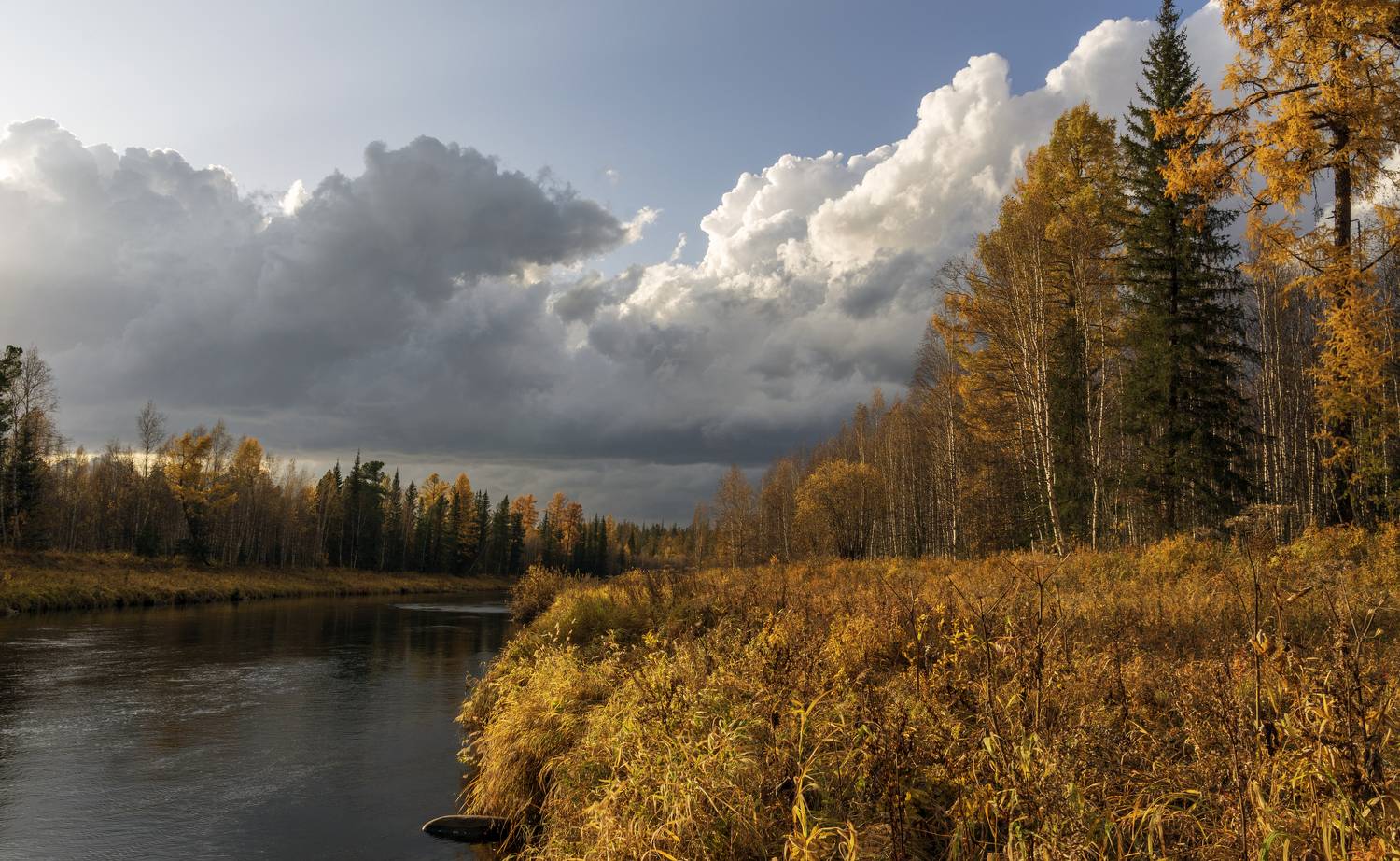 , Oleg Matronitskiy