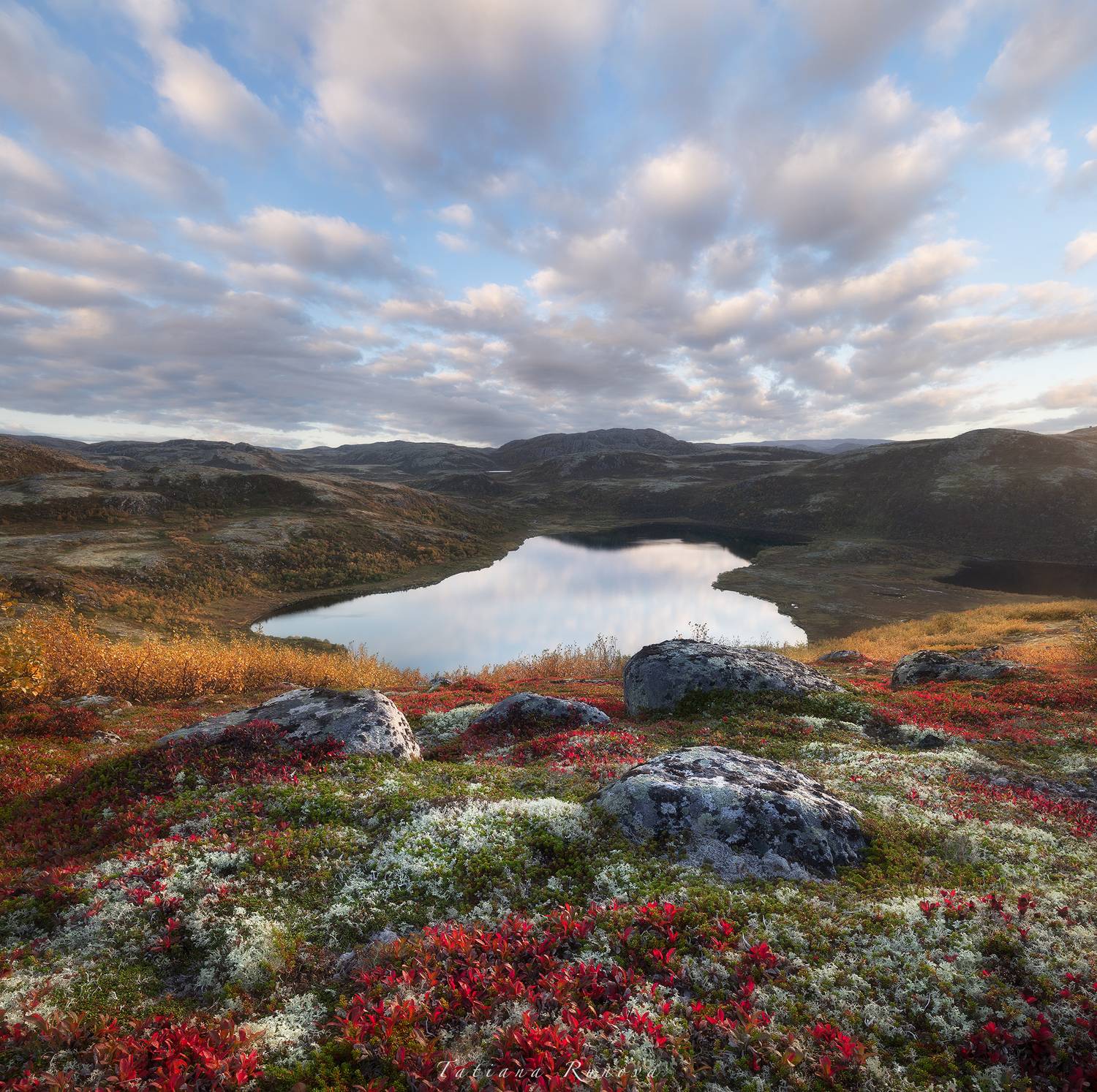 , Рунова Татьяна