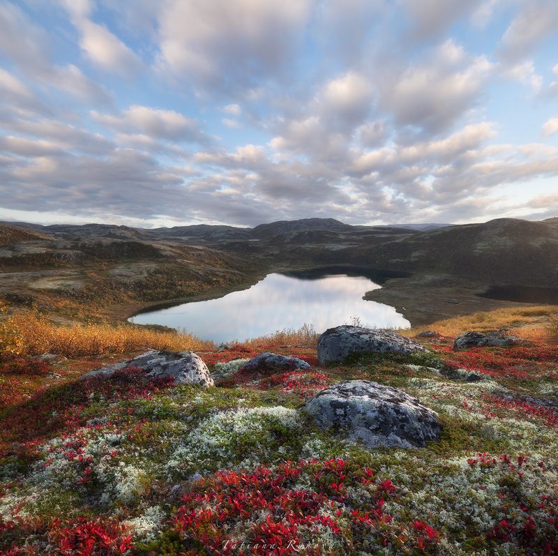 Осенняя тундра похожа на восточный ковер фото превью