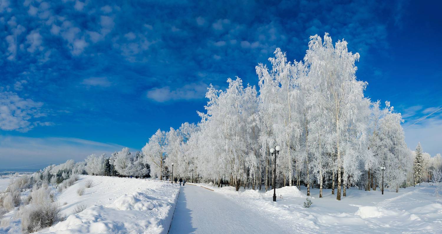 , Савенко Кирилл