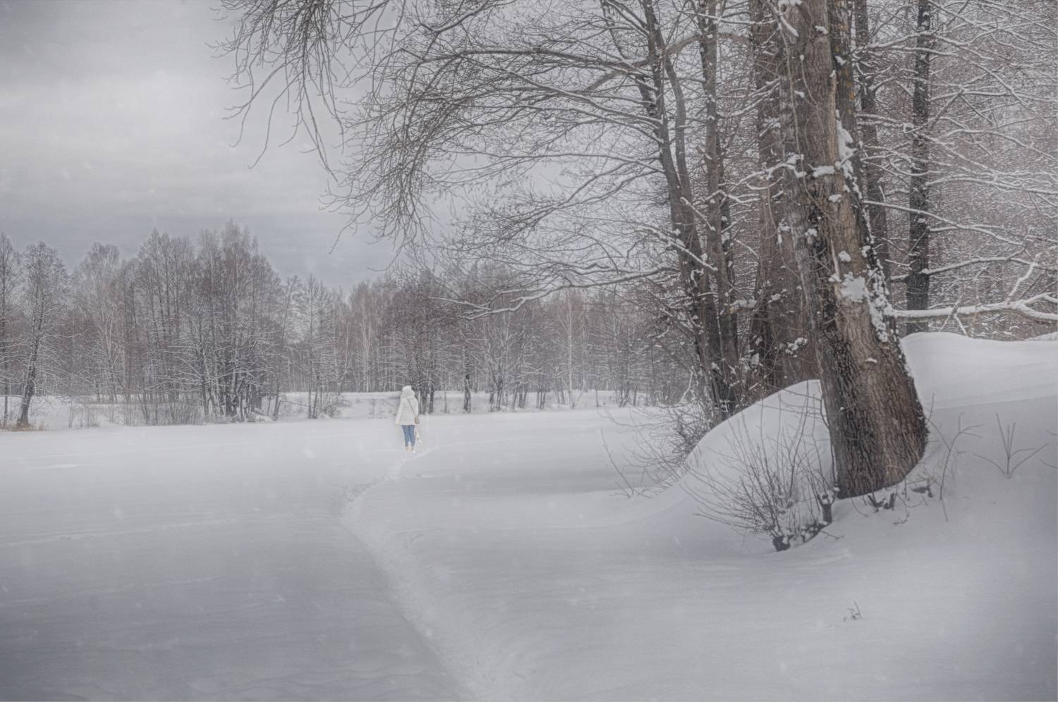 снег пруд тропинка деревья девушка, Вера Петри