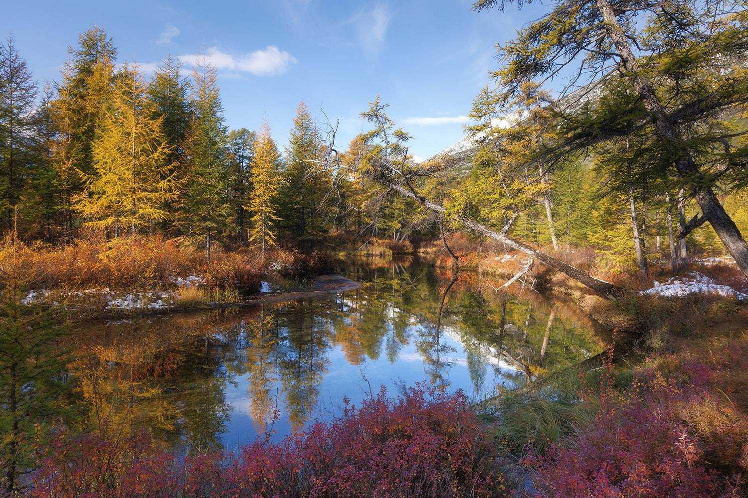 , Морозов Сергей