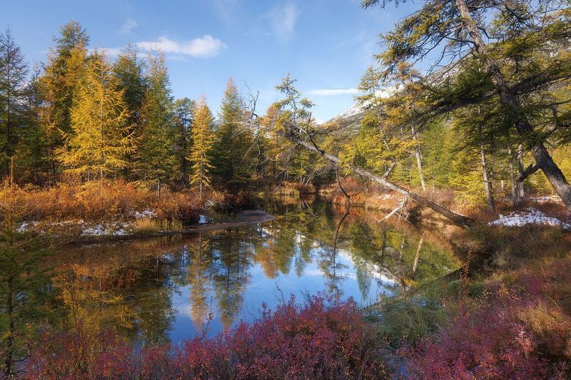 Ручей Неведомый фото превью