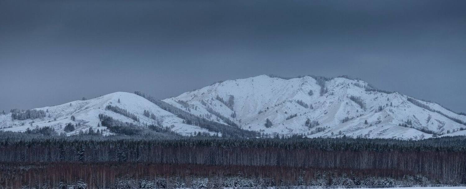 , Антонов Антон