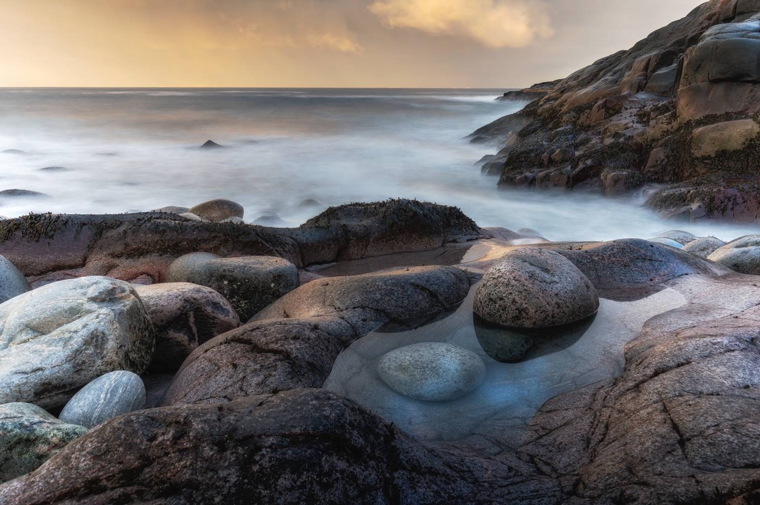 , Ирина Мошковская