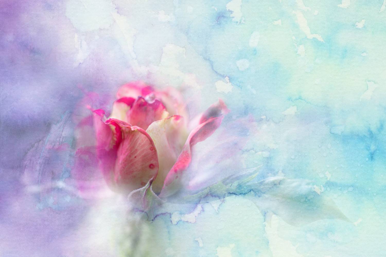 , Игорь Копцев