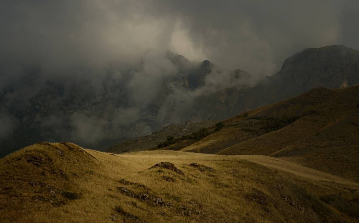 горы лето кавказ, Александр Жарников