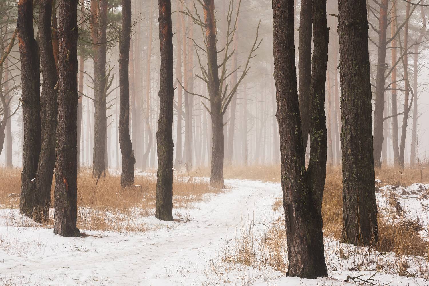 , Захаров Дмитрий