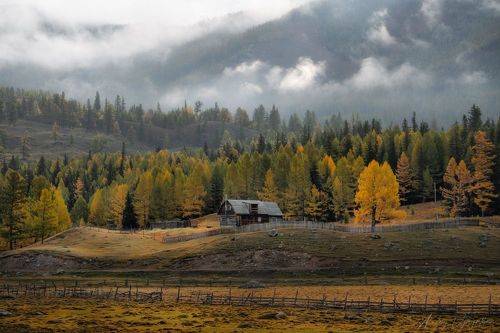 Foggy morning