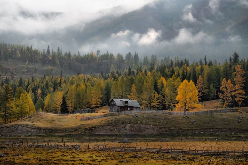 altay, autumn, house, green, yellow, landscape, Foggy morning фото превью