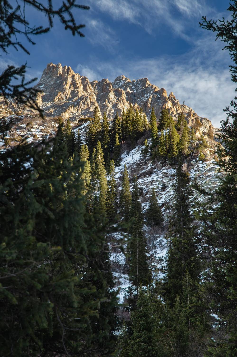 кыргызстан, ала-арча, Элина Магалимова
