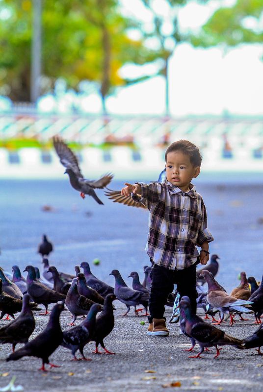 фото превью