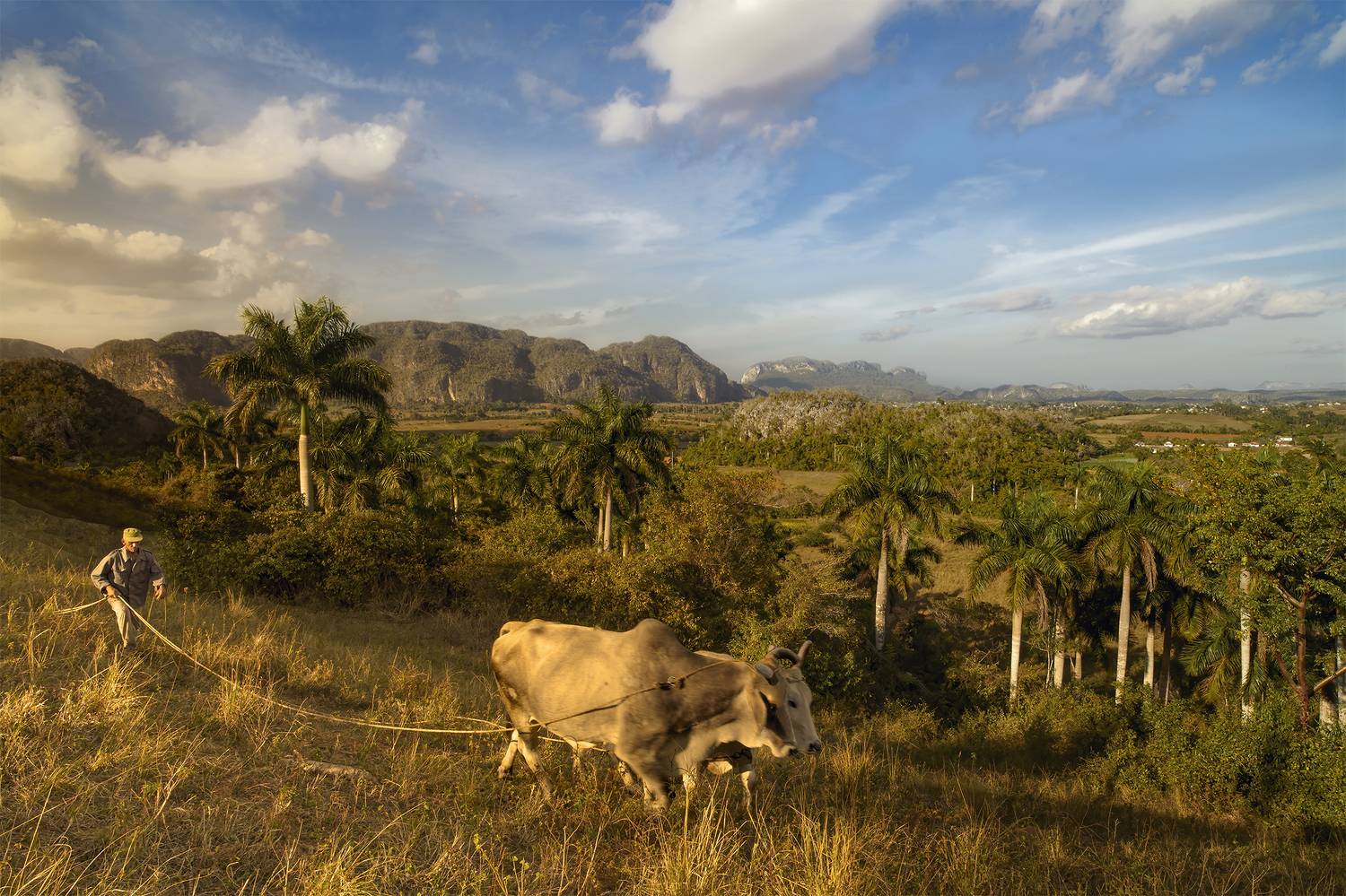 , Васенков Геннадий