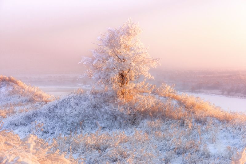 День зимнего солнцестояния фото превью