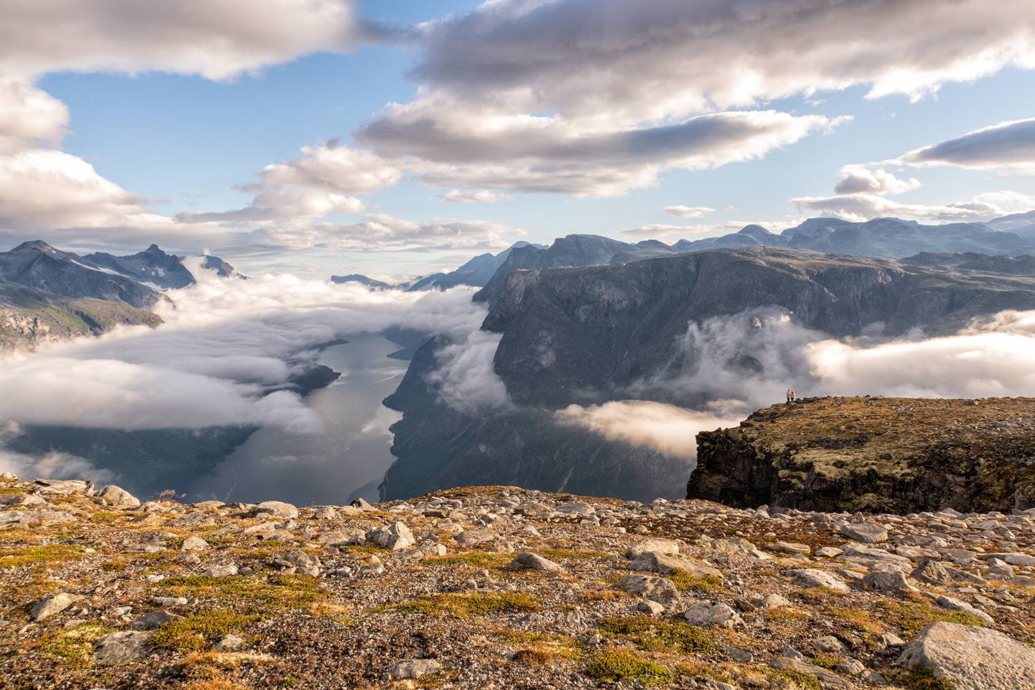 , Лариса Дука