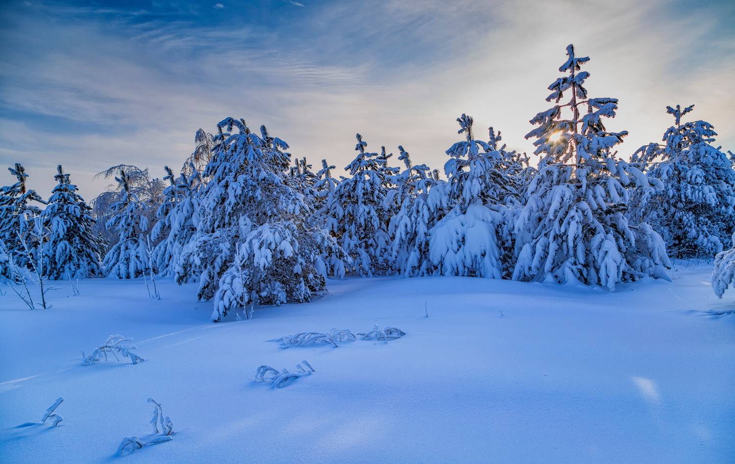 , Подосинников Максим