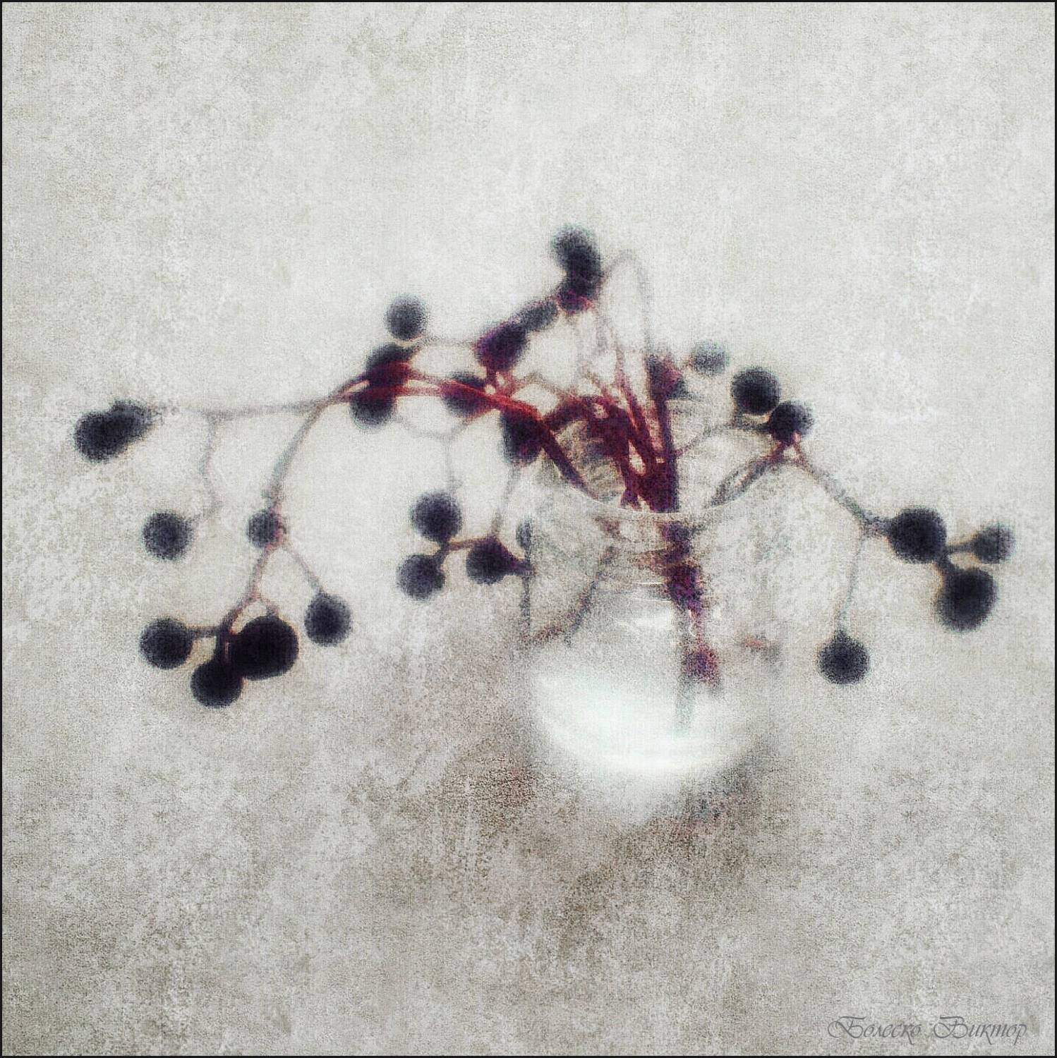 монокль, manuallens, artphoto, Болеско Виктор