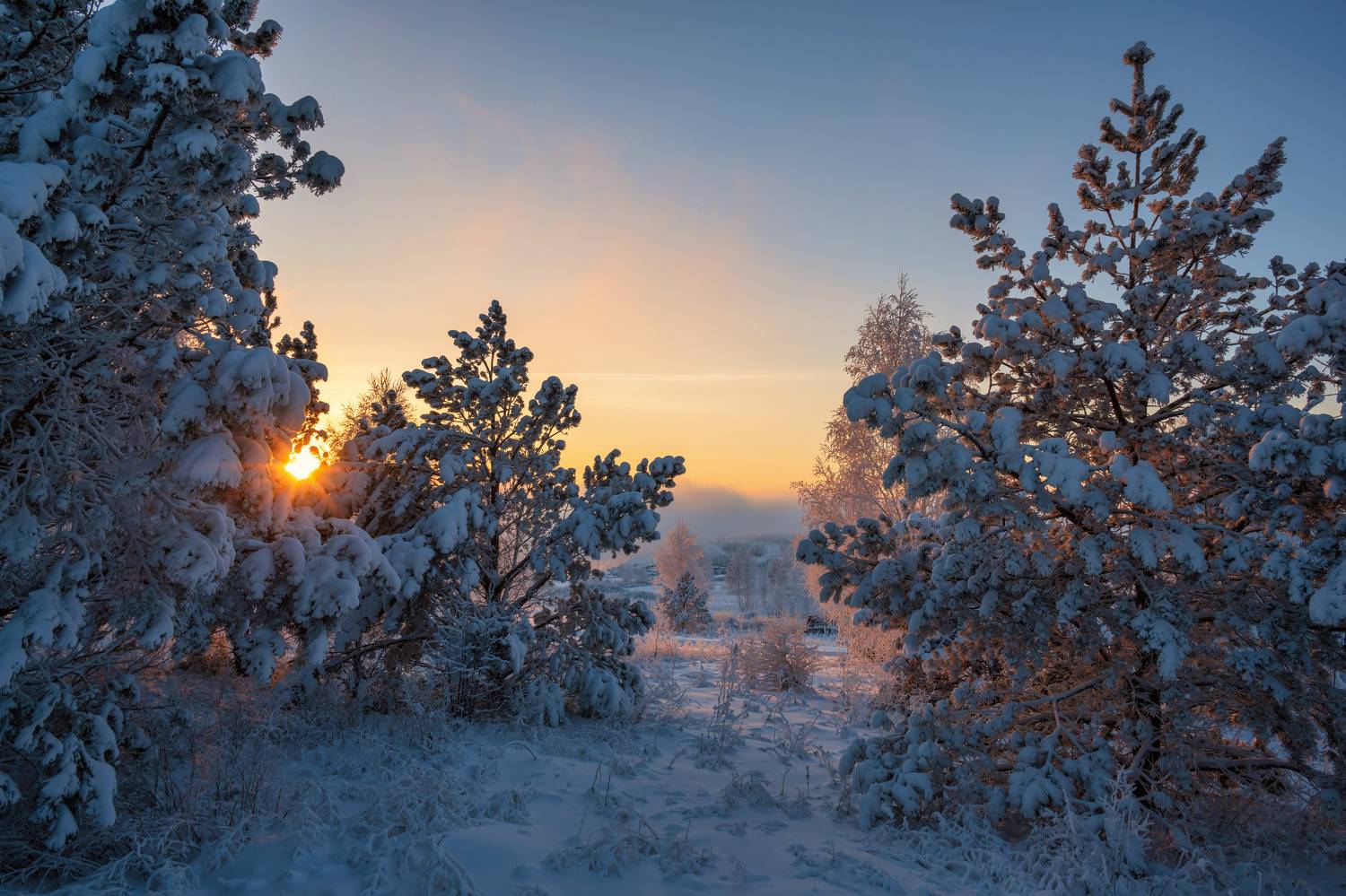 , Зорин Дмитрий