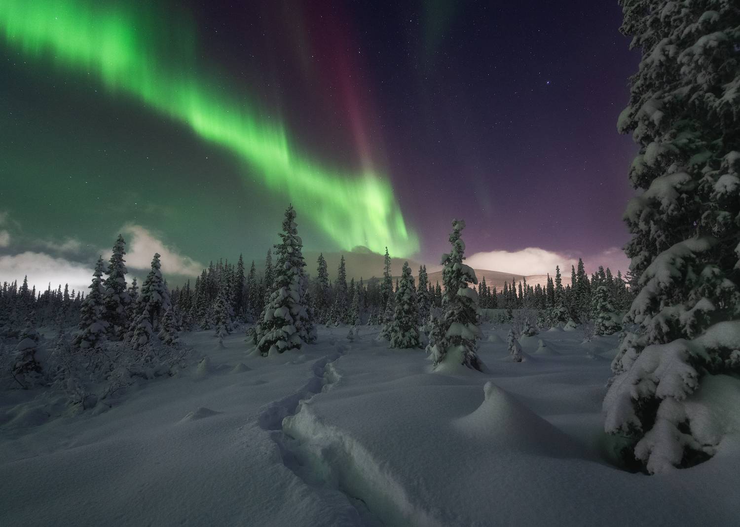 , Истомин Виталий