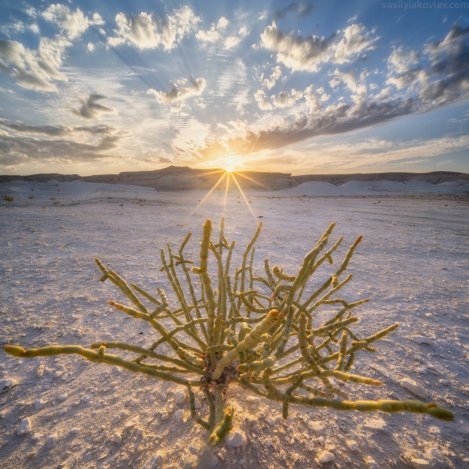 казахстан, фототур, яковлевфототур, мангистау, мангышлак, айракты, босжира, устюрт, карынжарык, тузбаир, торыш, туйесу, сенек, Василий Яковлев