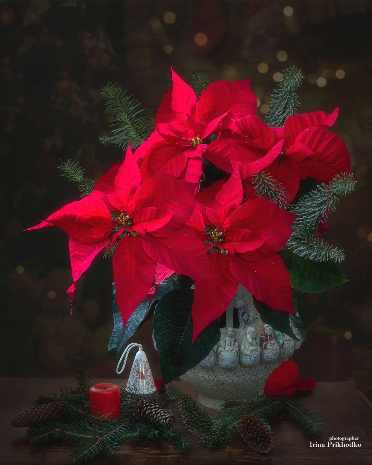 натюрморт, праздник, пуансеттия, новый год, рождество, Приходько Ирина