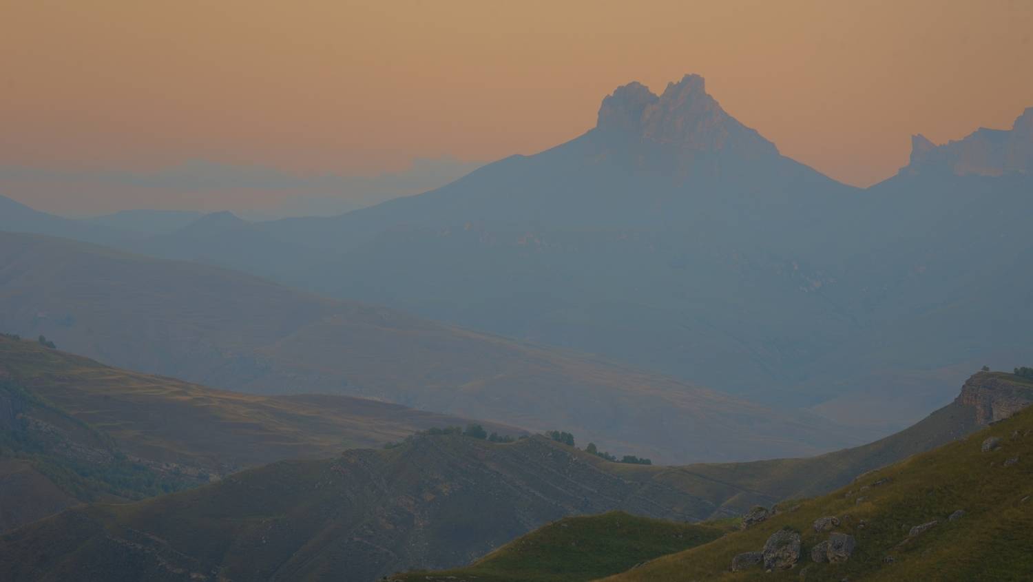 , Александр Жарников