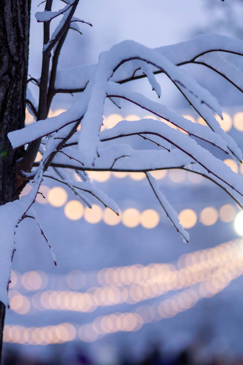 , Сергей Фаренюк