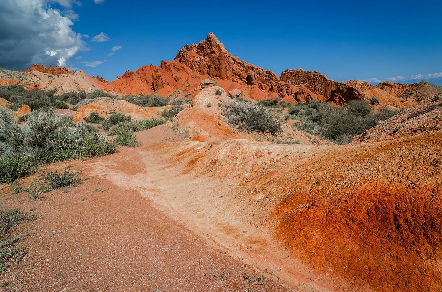 , Савенко Кирилл