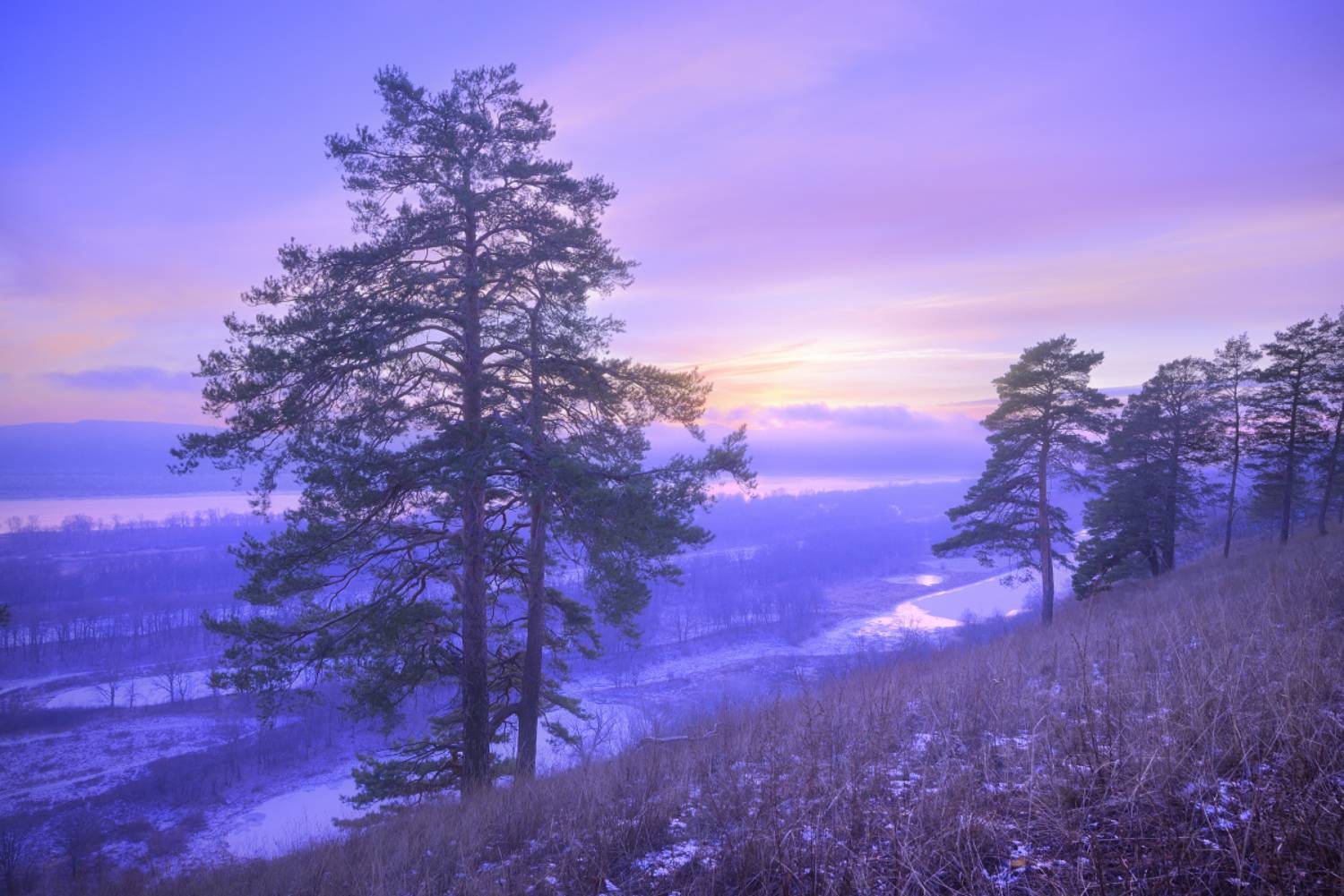 , Александр Тормосин