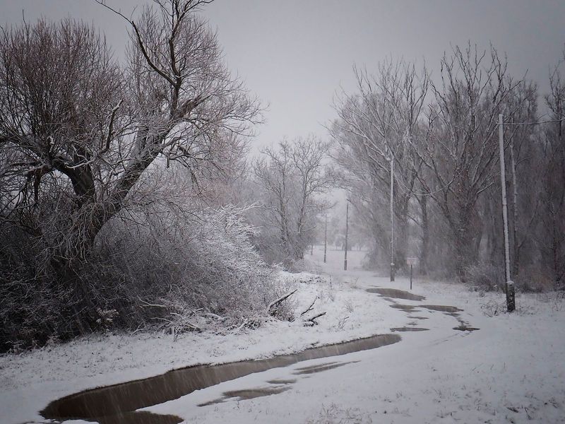 Winter is here фото превью