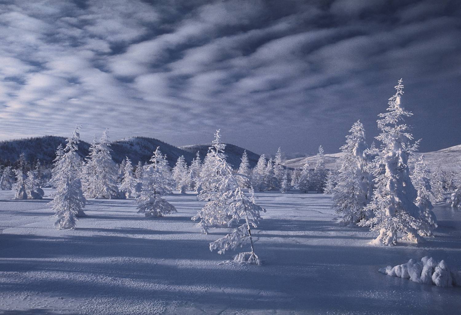 Фототуры с Владимиром Рябковым, #topnature #russpasibo #magic_shots #lovelyRussia #sunset_vision #exclusive_sky  #exclusive_shots #loves_russia2 #photoarena_nature #nature_sultans #nature_perfection #rsa_sky #rsa_sunset #photorussia #rsa_naturepics #sunse, Владимир Рябков