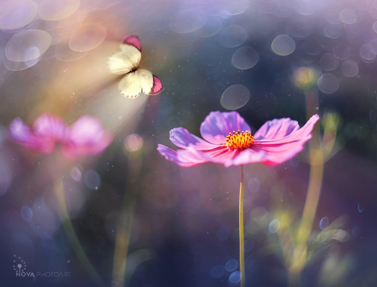 , Svetlana Smirnova