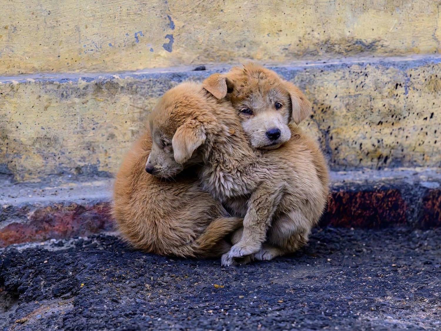 , Пупонин Сергей