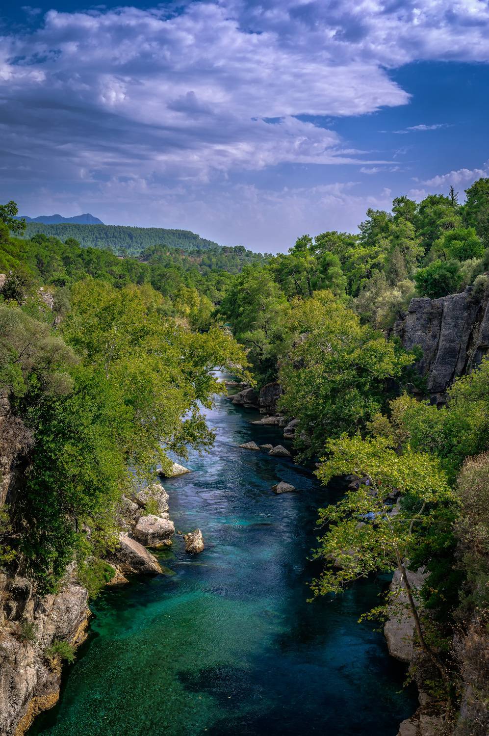 , Васильев Андрей