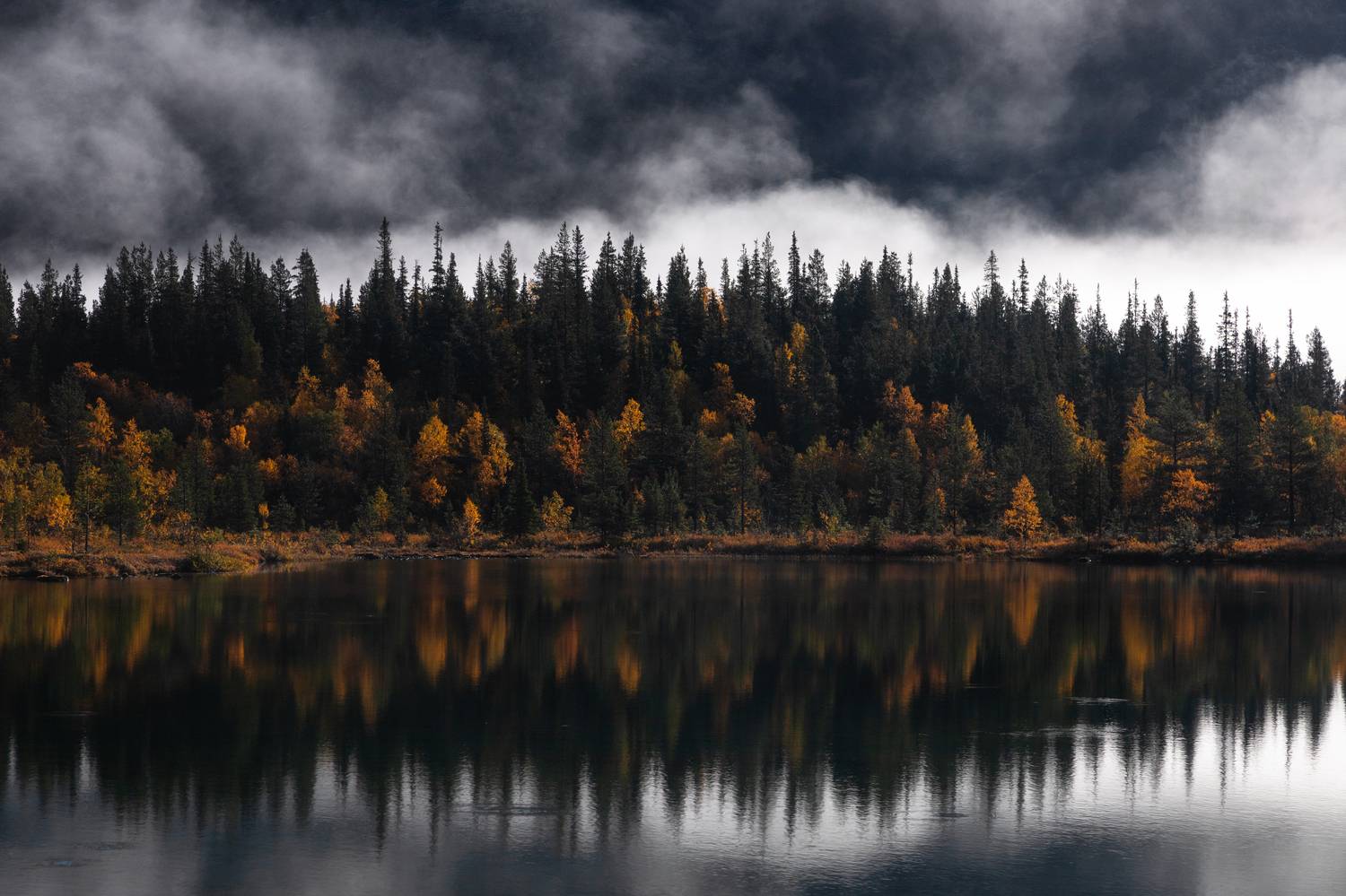 , Столыпин Юрий