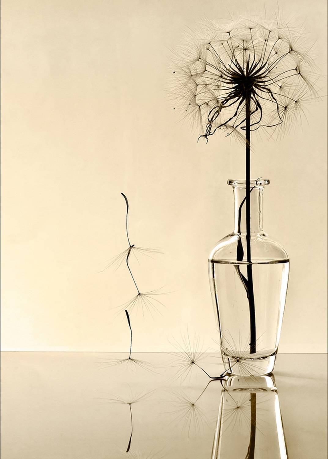 , Солодар Виктория