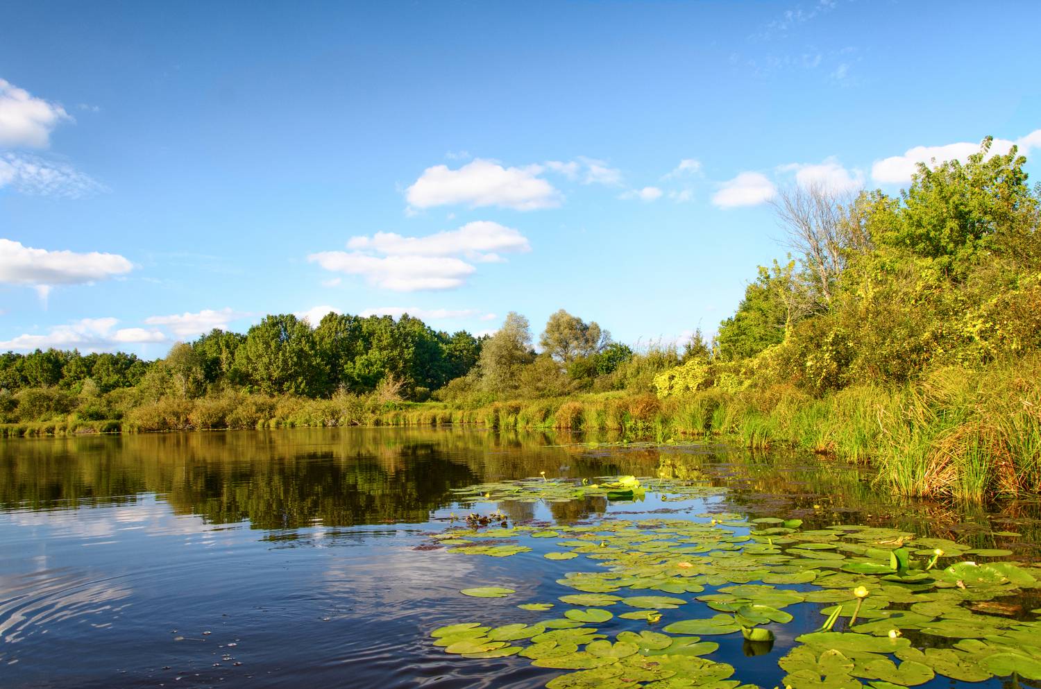 , Александр Березуцкий
