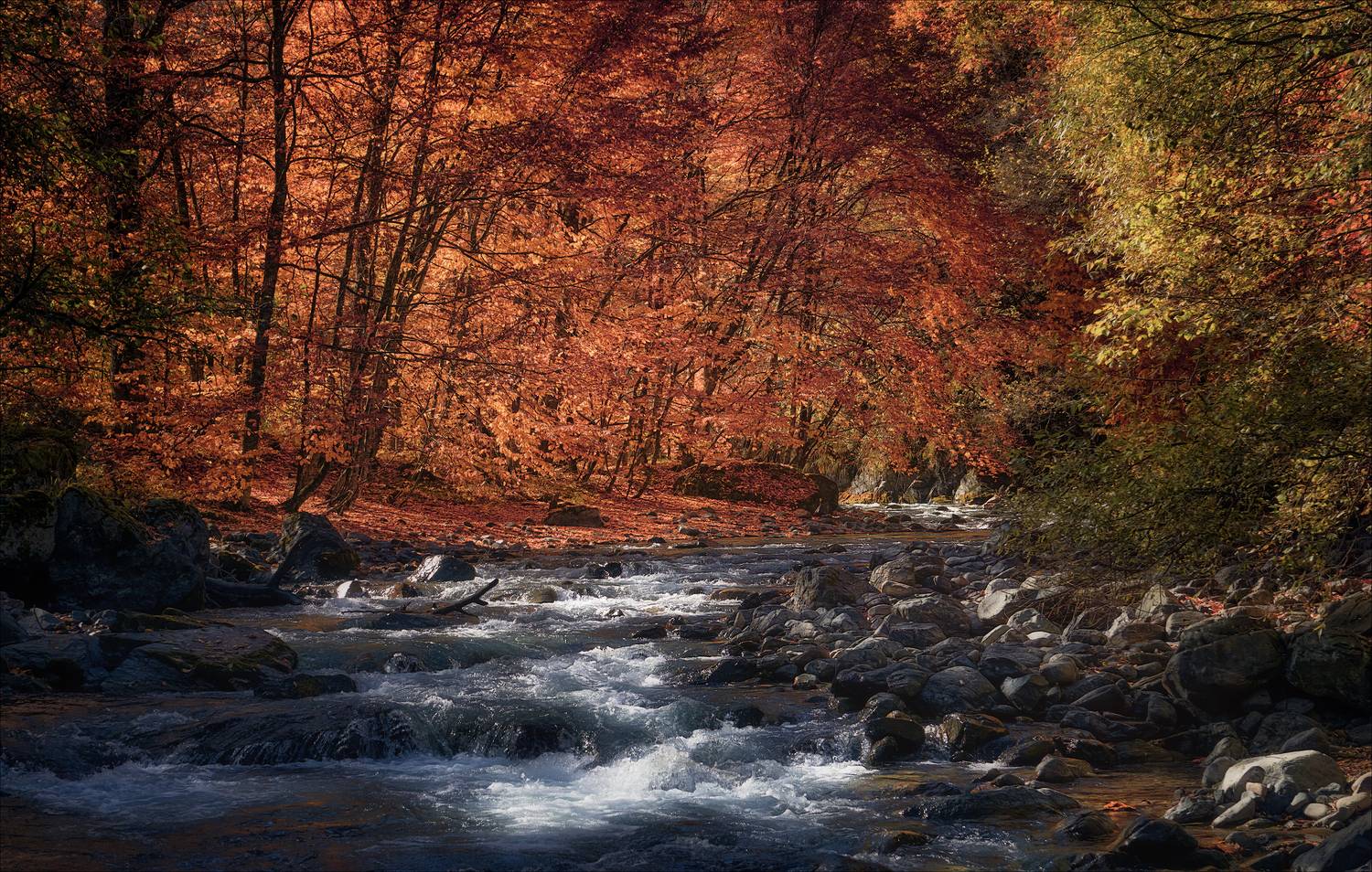 , Богорянов Алексей
