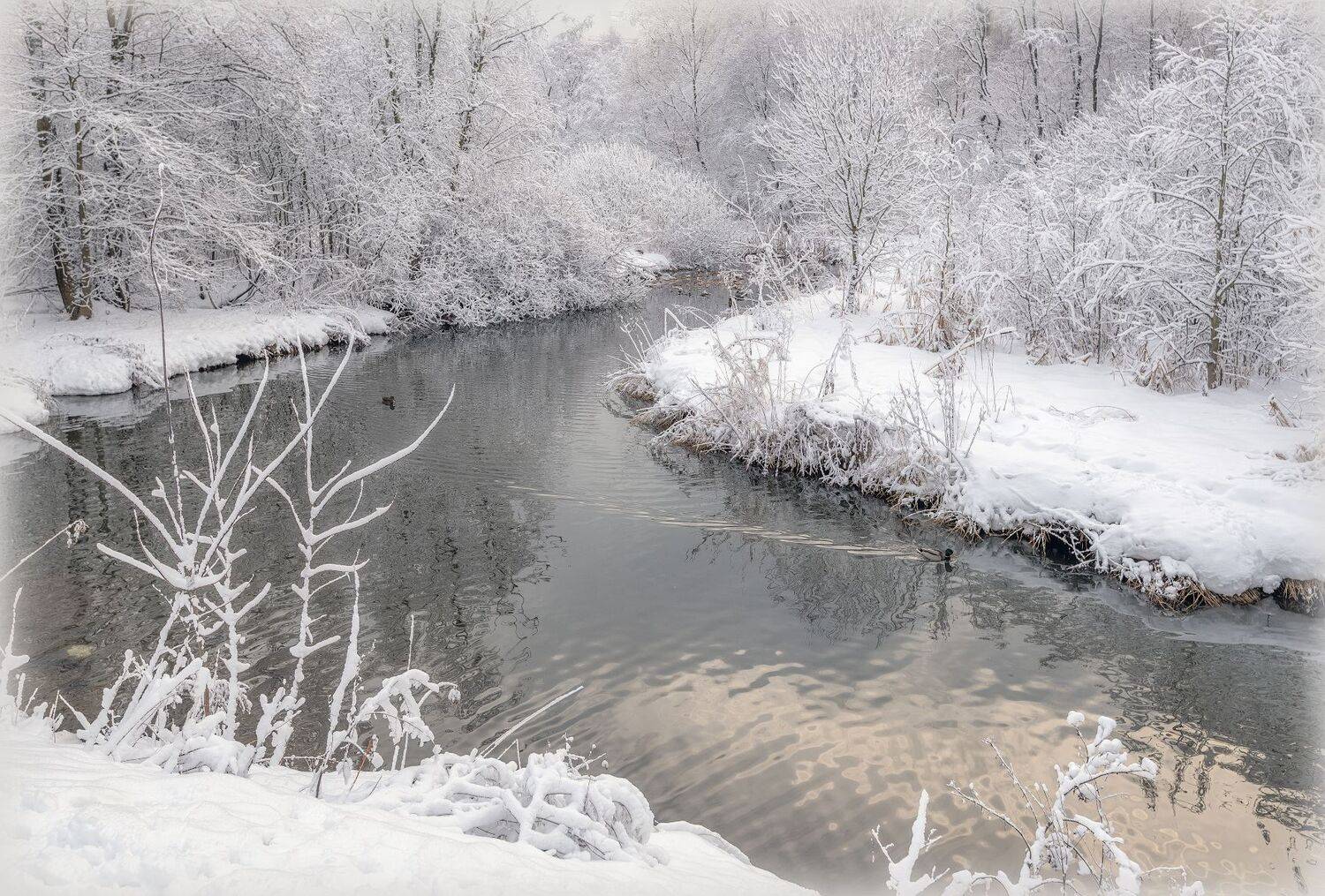 река, снег, лес,иней, Сергей Аникин