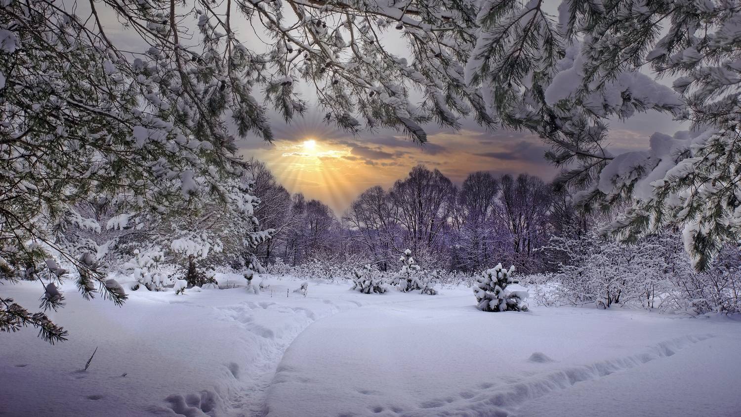 , Людмила Железнова